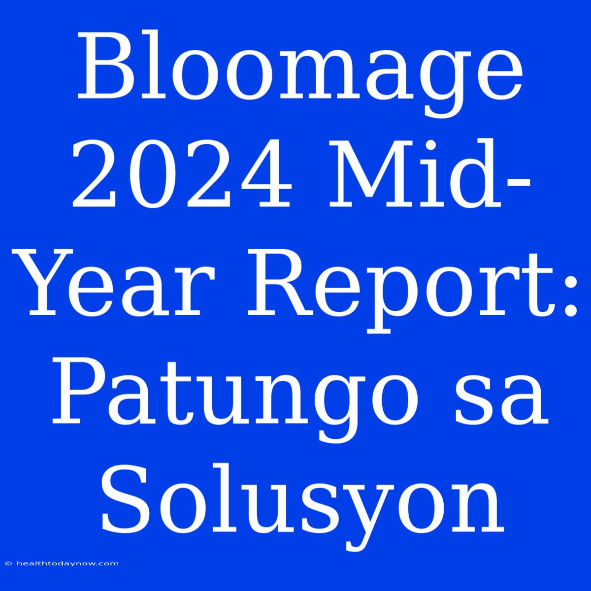 Bloomage 2024 Mid-Year Report: Patungo Sa Solusyon