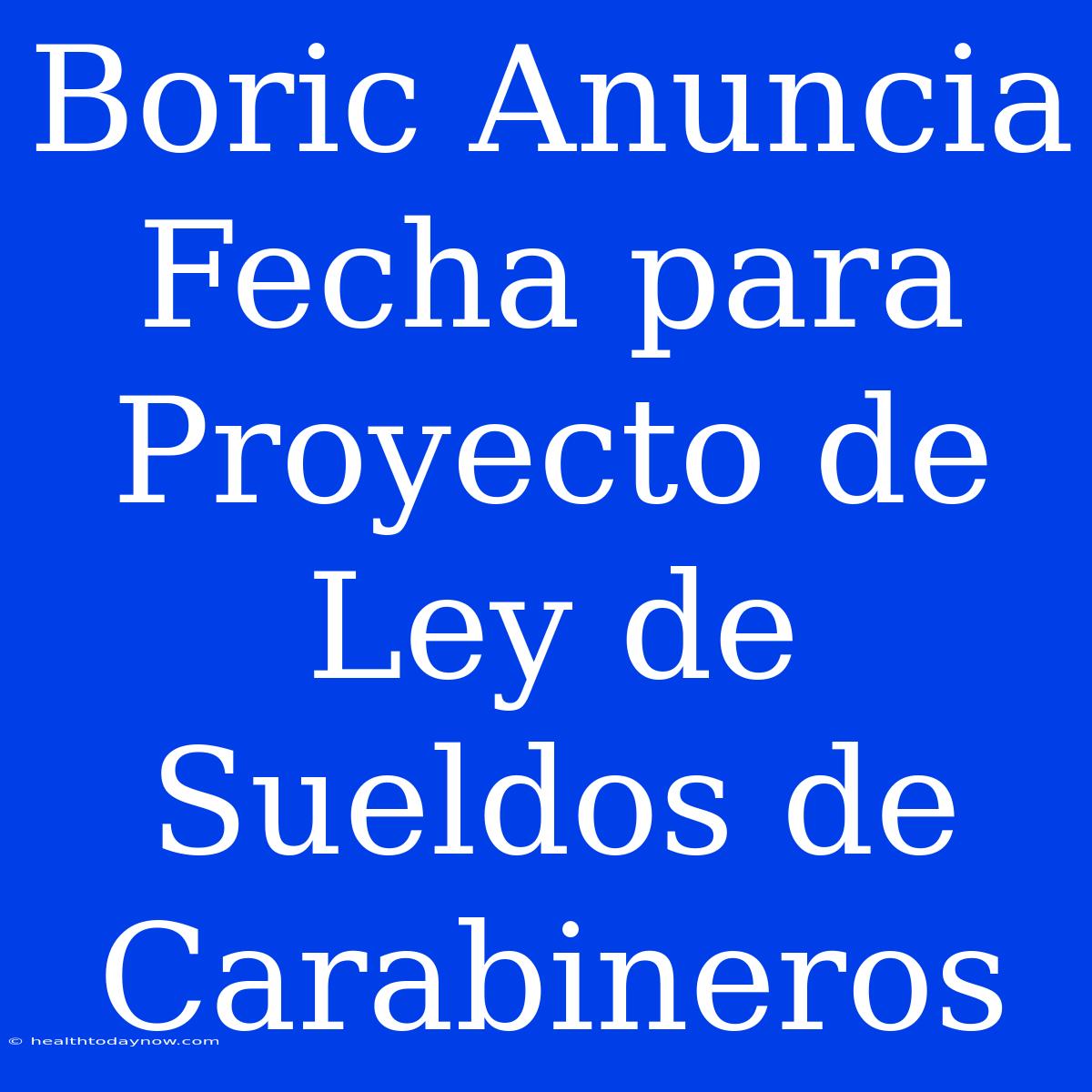 Boric Anuncia Fecha Para Proyecto De Ley De Sueldos De Carabineros