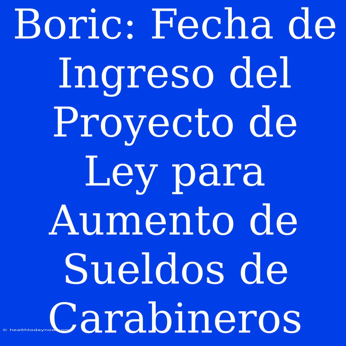 Boric: Fecha De Ingreso Del Proyecto De Ley Para Aumento De Sueldos De Carabineros