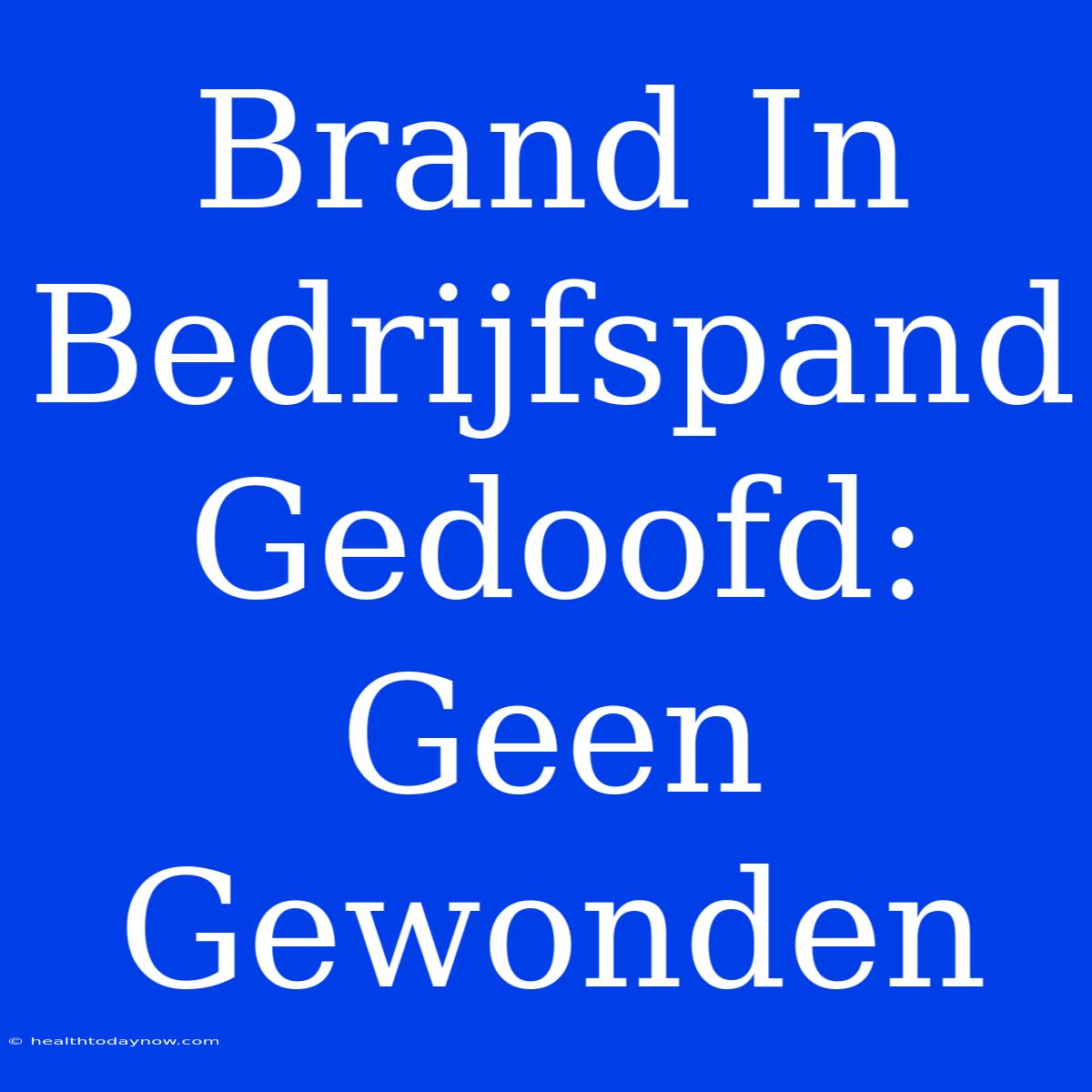 Brand In Bedrijfspand Gedoofd: Geen Gewonden 