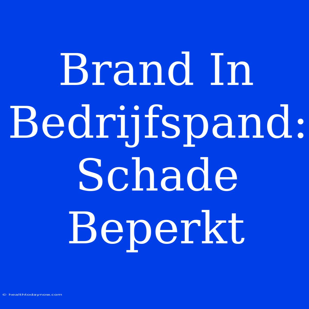 Brand In Bedrijfspand: Schade Beperkt 