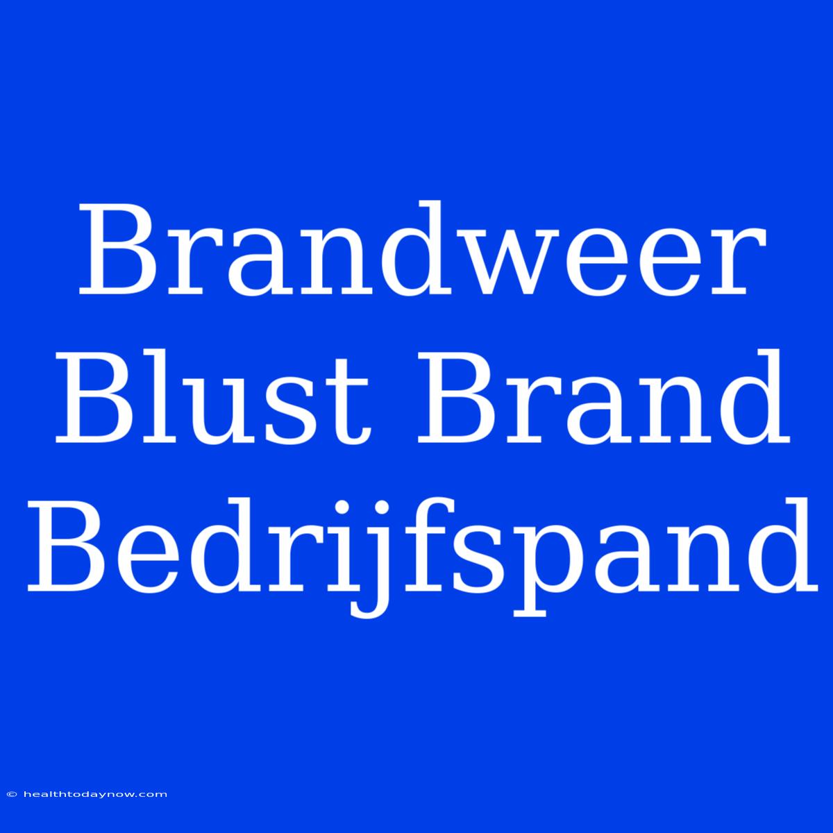 Brandweer Blust Brand Bedrijfspand 