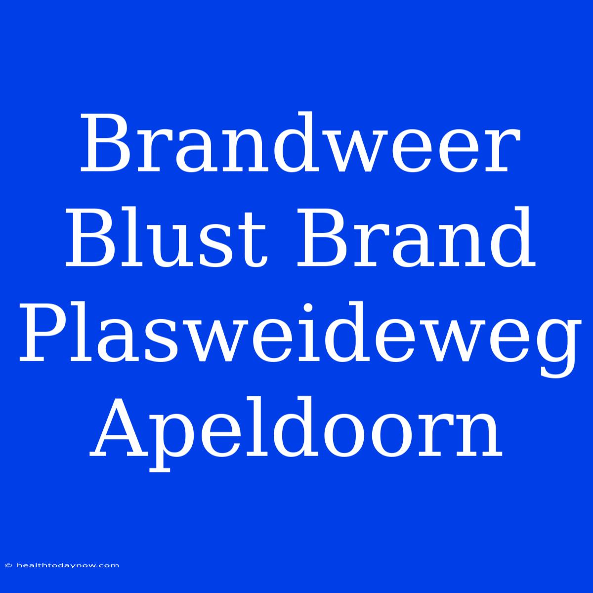 Brandweer Blust Brand Plasweideweg Apeldoorn