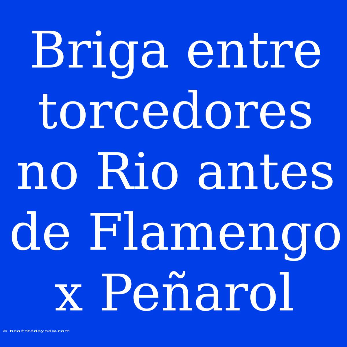 Briga Entre Torcedores No Rio Antes De Flamengo X Peñarol