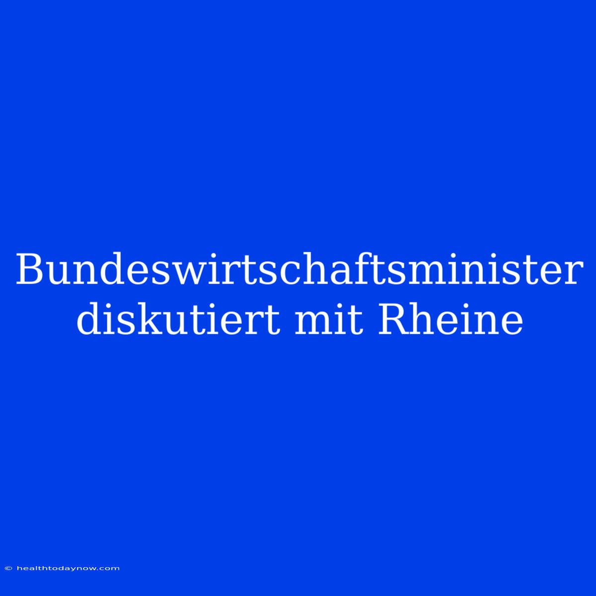 Bundeswirtschaftsminister Diskutiert Mit Rheine