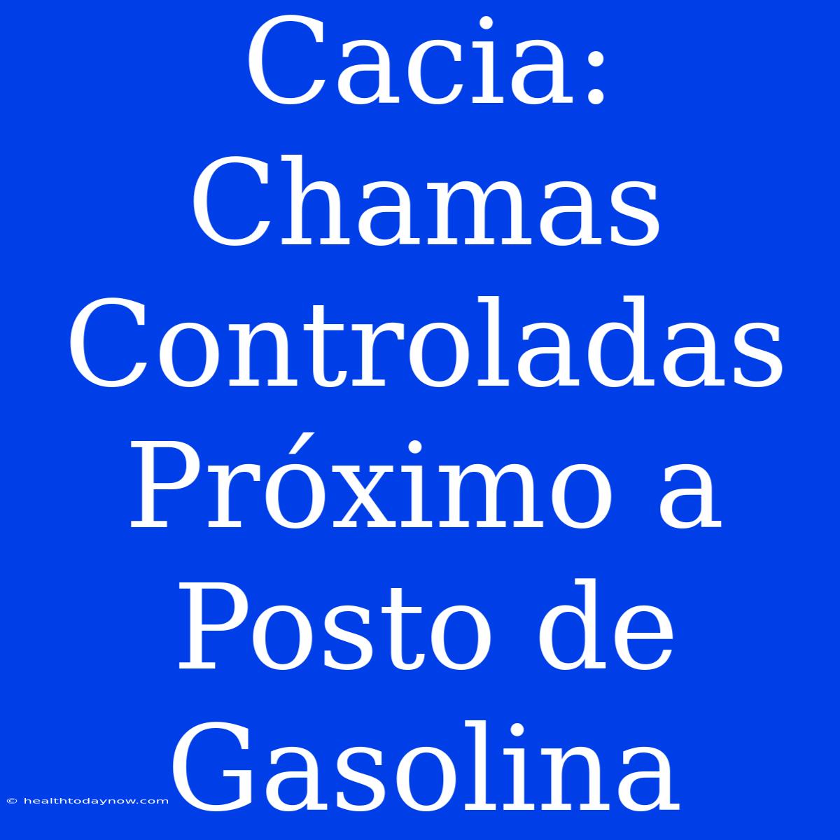 Cacia: Chamas Controladas Próximo A Posto De Gasolina