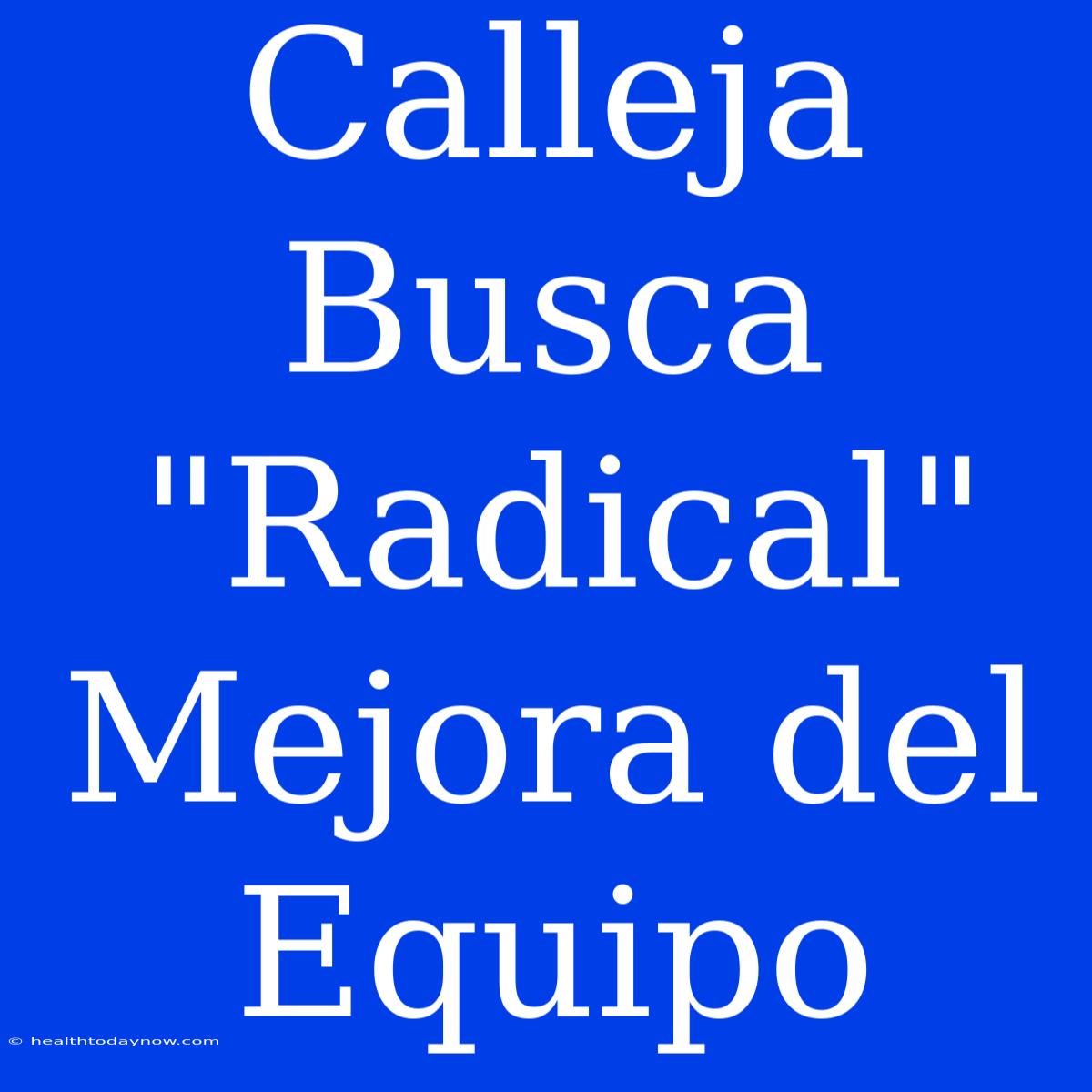 Calleja Busca 