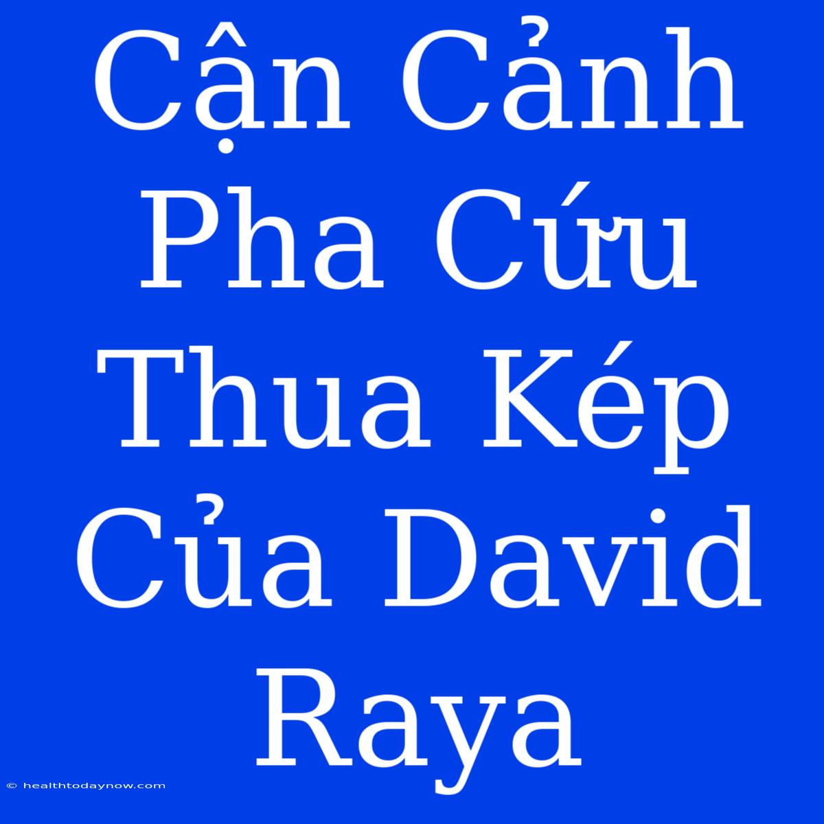 Cận Cảnh Pha Cứu Thua Kép Của David Raya