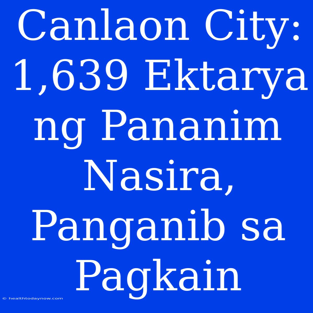 Canlaon City: 1,639 Ektarya Ng Pananim Nasira, Panganib Sa Pagkain