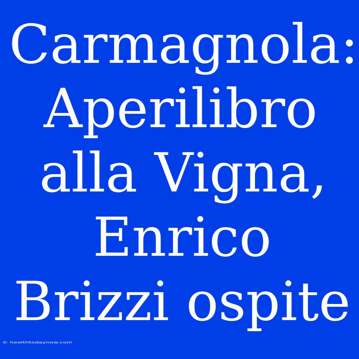 Carmagnola: Aperilibro Alla Vigna, Enrico Brizzi Ospite