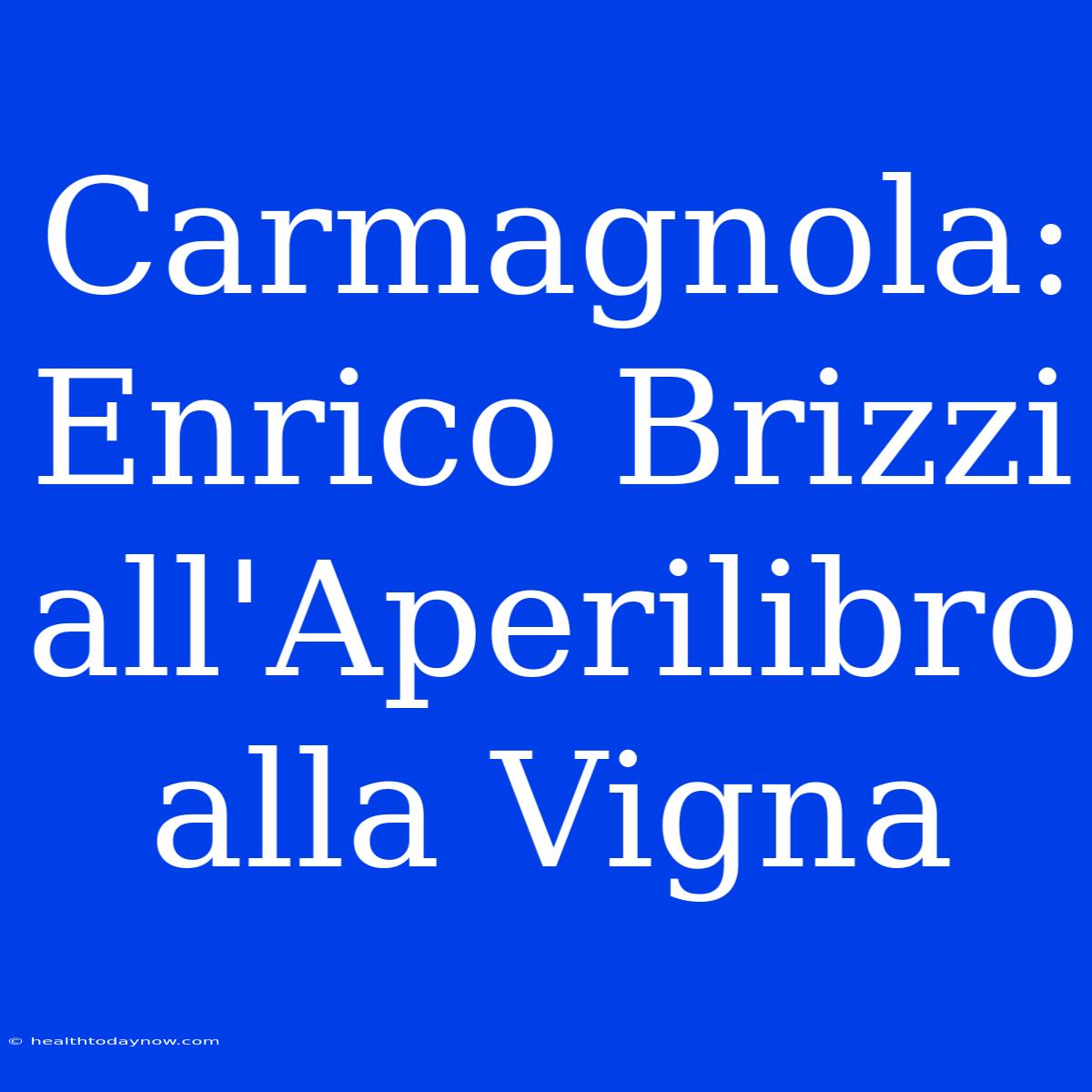 Carmagnola: Enrico Brizzi All'Aperilibro Alla Vigna