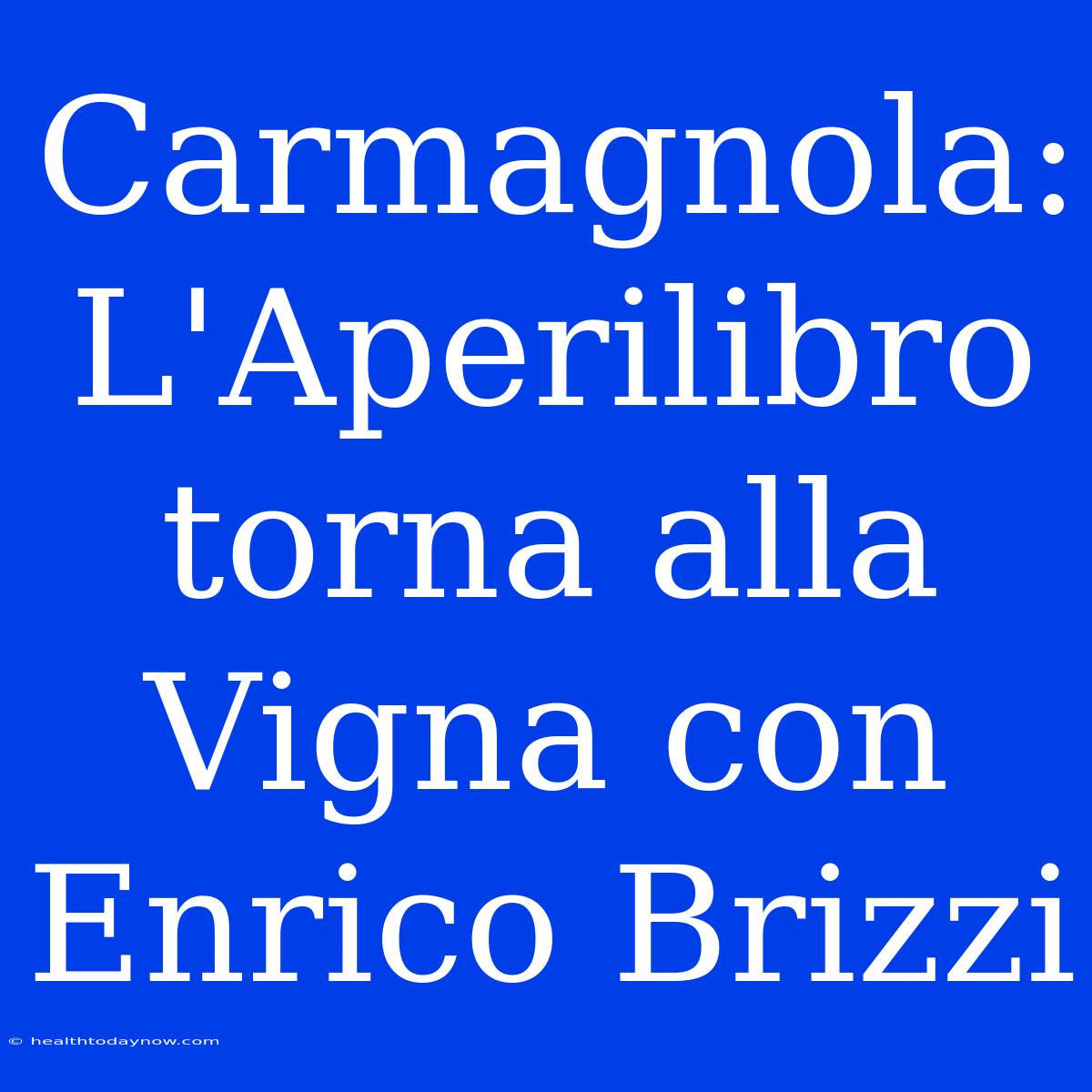 Carmagnola: L'Aperilibro Torna Alla Vigna Con Enrico Brizzi