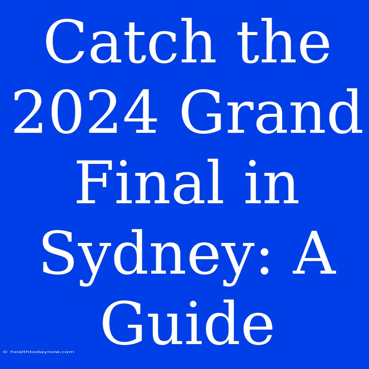 Catch The 2024 Grand Final In Sydney: A Guide 