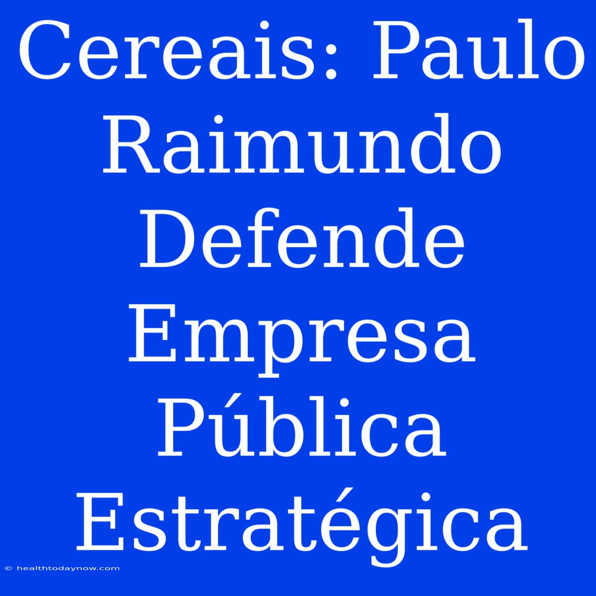 Cereais: Paulo Raimundo Defende Empresa Pública Estratégica