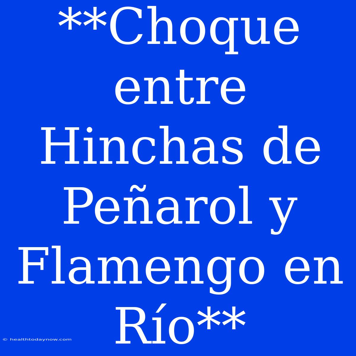 **Choque Entre Hinchas De Peñarol Y Flamengo En Río**