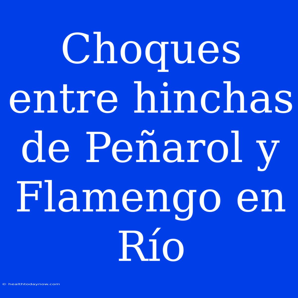 Choques Entre Hinchas De Peñarol Y Flamengo En Río