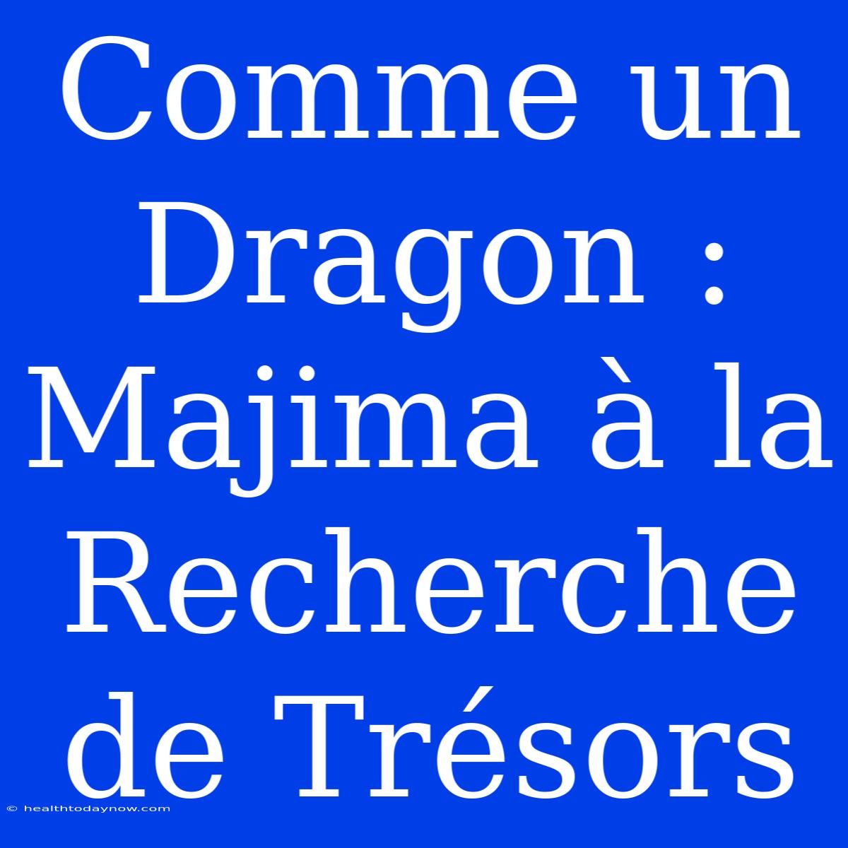 Comme Un Dragon : Majima À La Recherche De Trésors