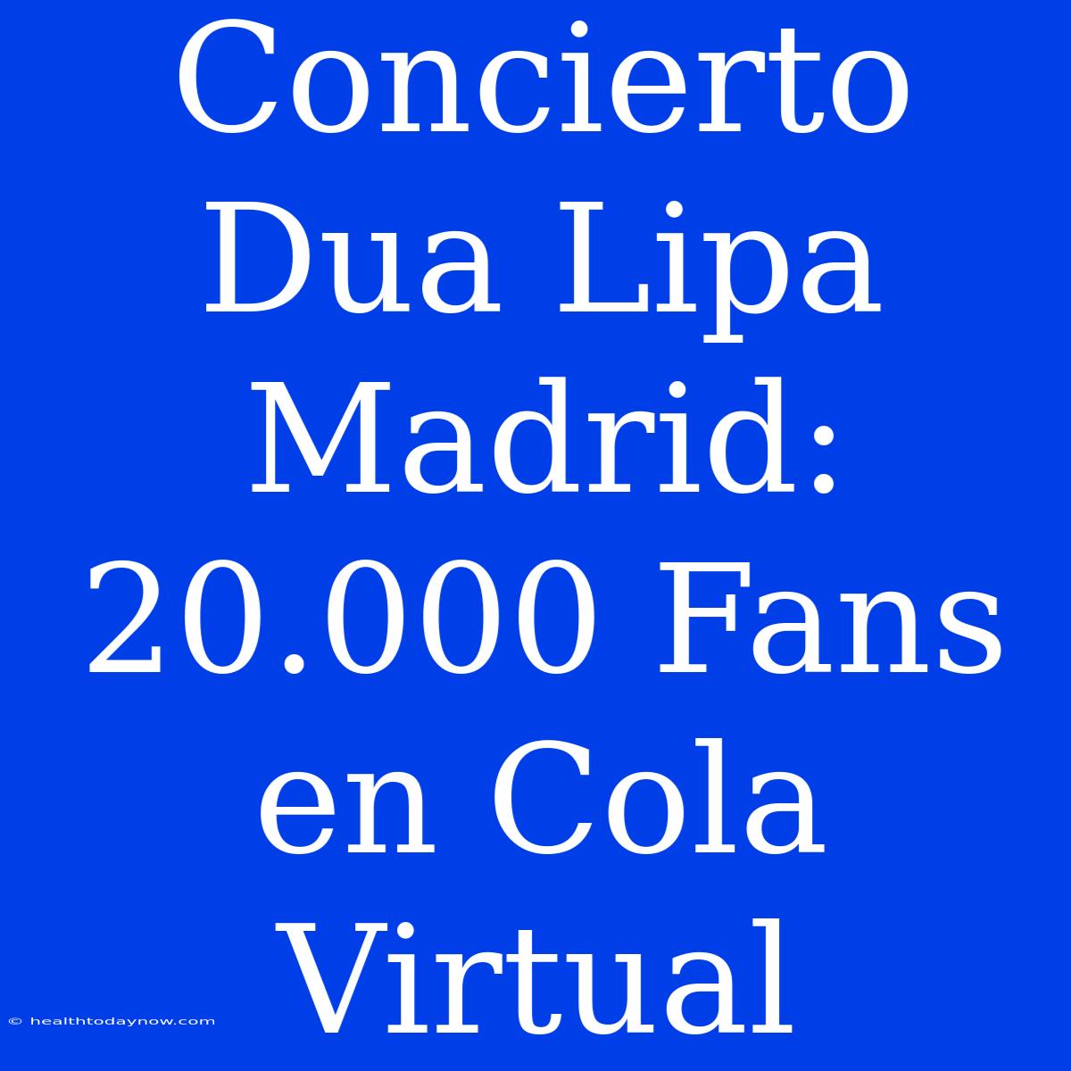 Concierto Dua Lipa Madrid: 20.000 Fans En Cola Virtual