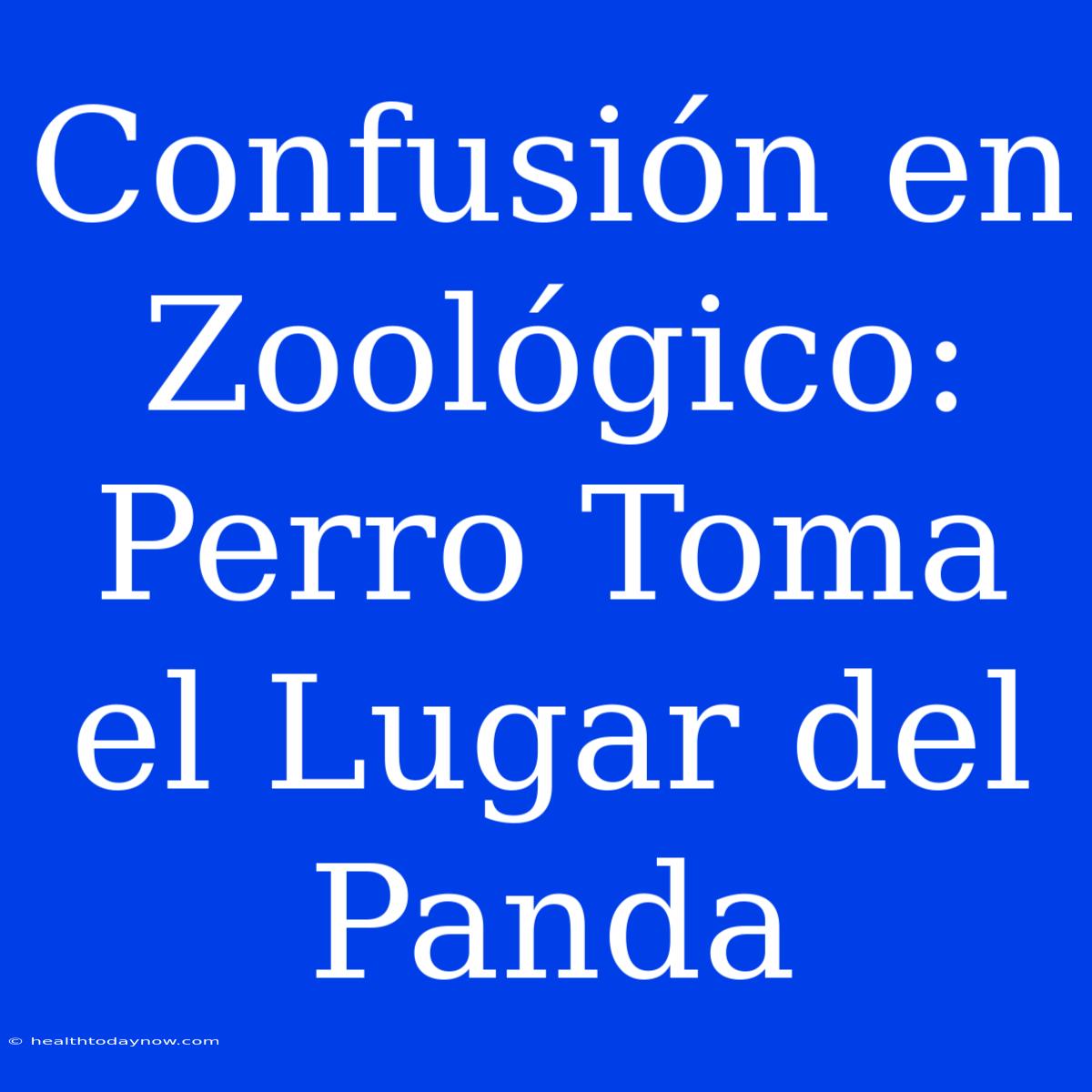 Confusión En Zoológico: Perro Toma El Lugar Del Panda