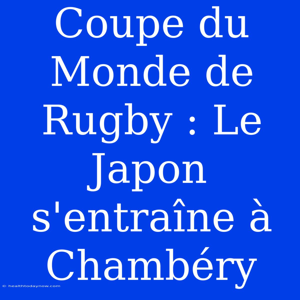 Coupe Du Monde De Rugby : Le Japon S'entraîne À Chambéry