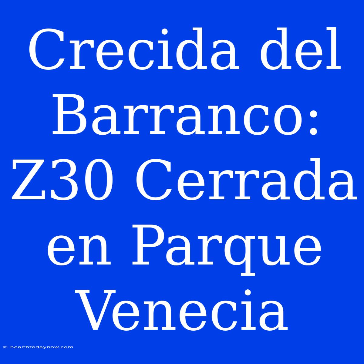 Crecida Del Barranco: Z30 Cerrada En Parque Venecia