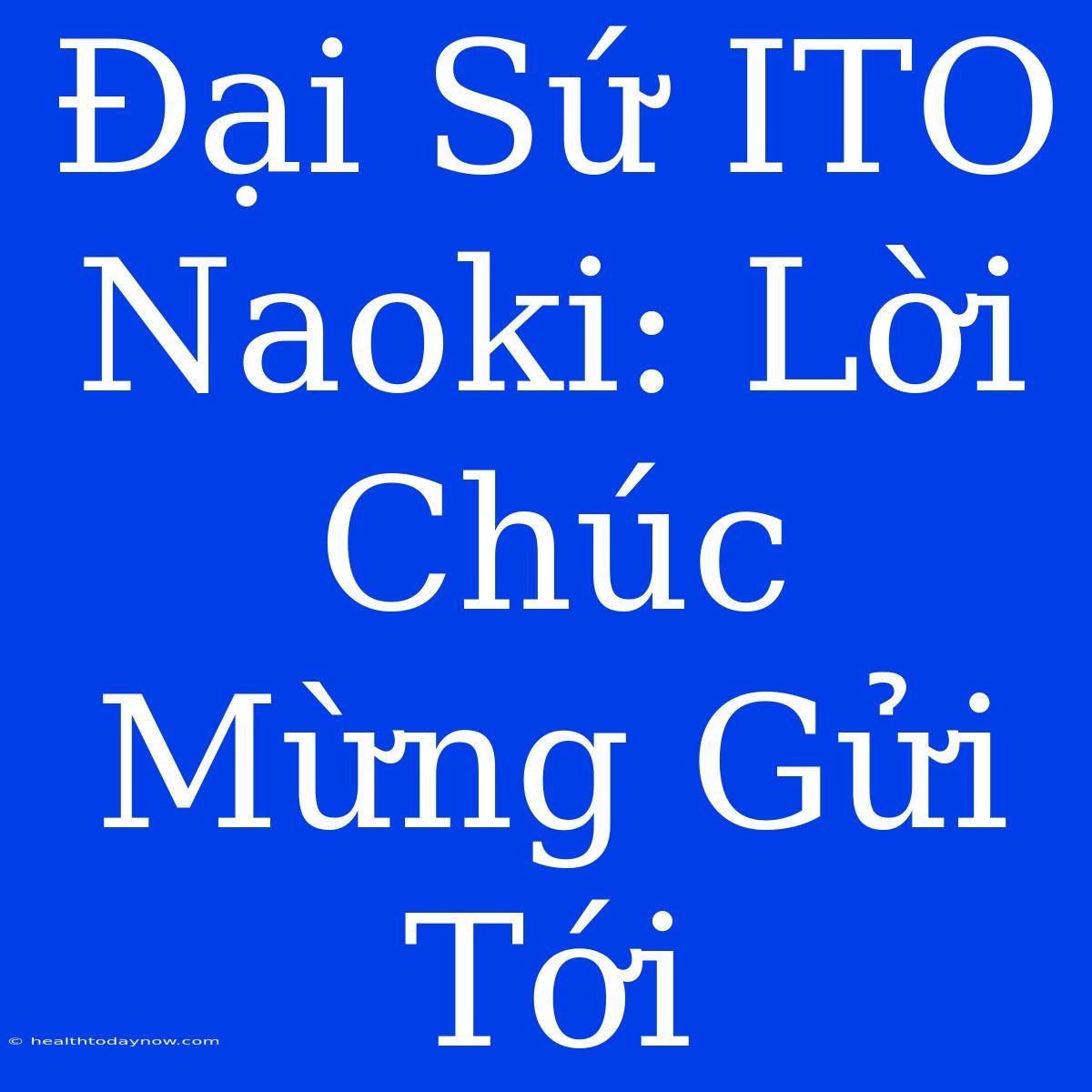 Đại Sứ ITO Naoki: Lời Chúc Mừng Gửi Tới