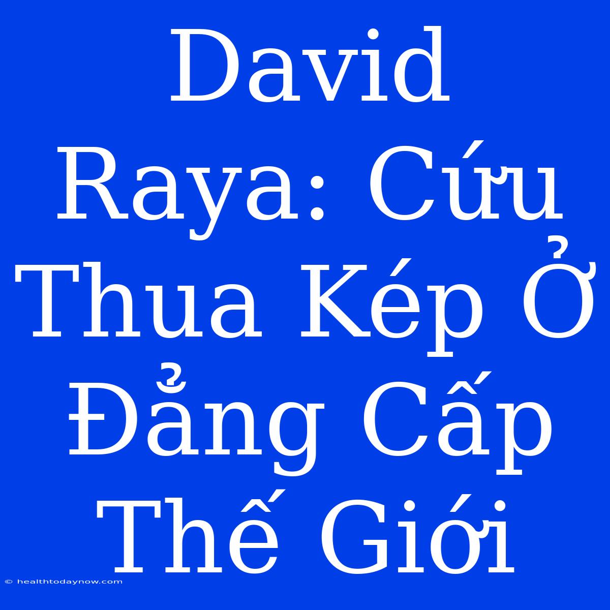 David Raya: Cứu Thua Kép Ở Đẳng Cấp Thế Giới