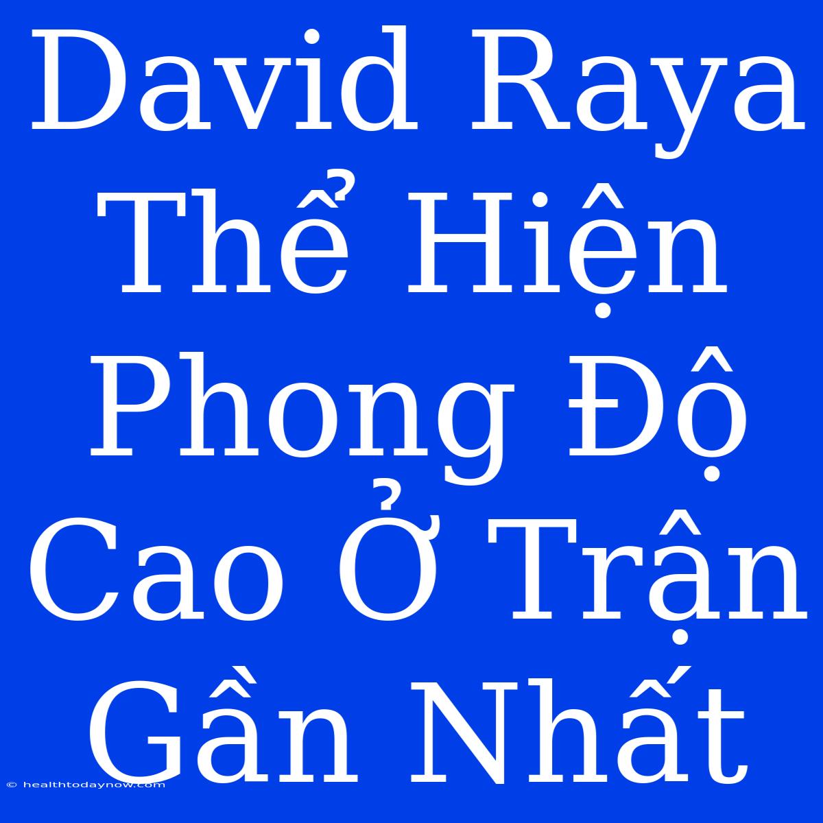 David Raya Thể Hiện Phong Độ Cao Ở Trận Gần Nhất