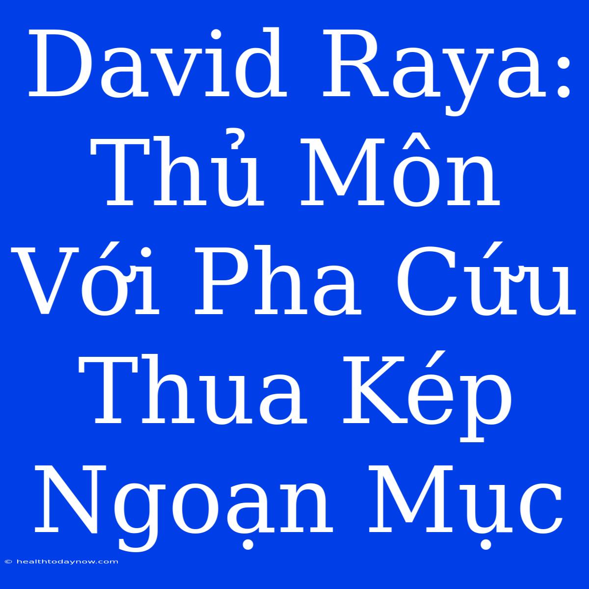 David Raya: Thủ Môn Với Pha Cứu Thua Kép Ngoạn Mục