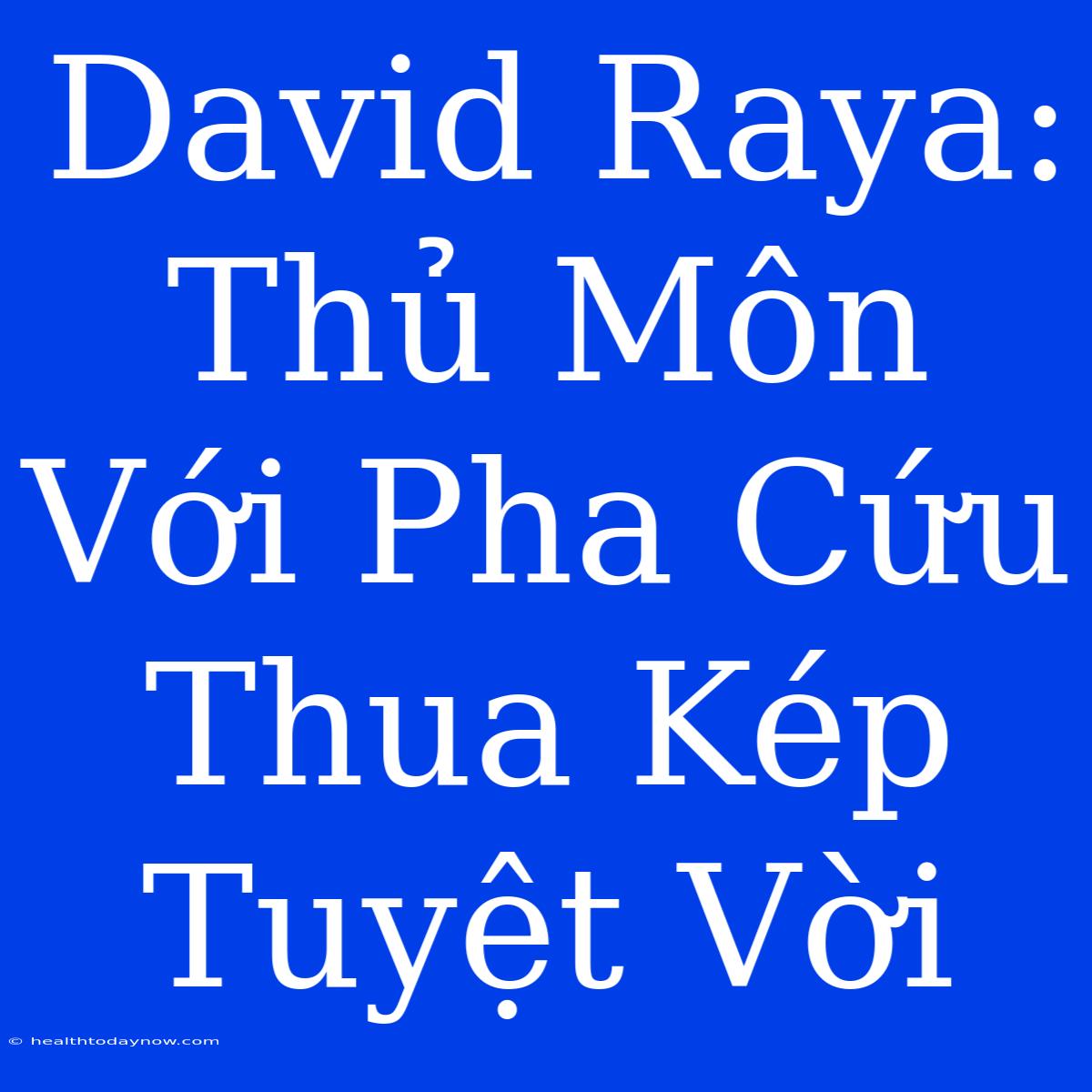 David Raya: Thủ Môn Với Pha Cứu Thua Kép Tuyệt Vời