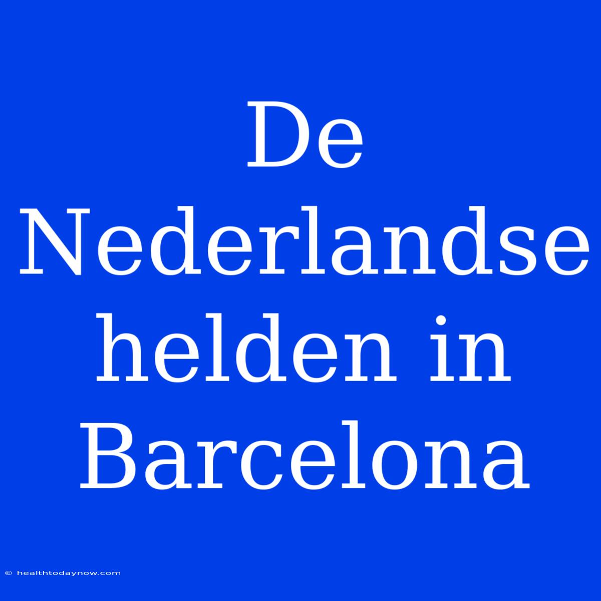 De Nederlandse Helden In Barcelona