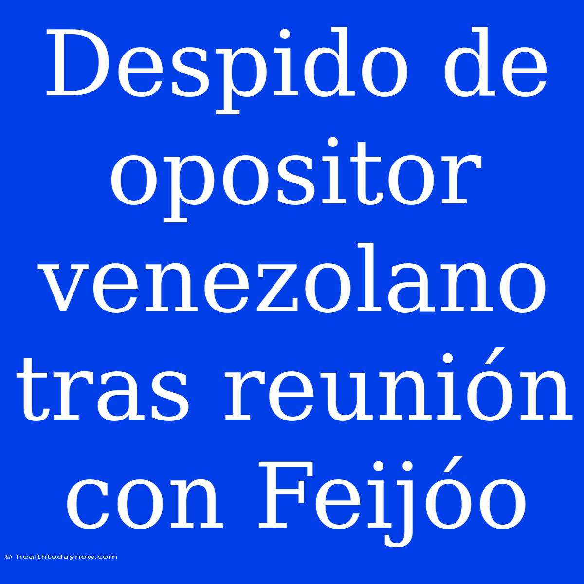 Despido De Opositor Venezolano Tras Reunión Con Feijóo