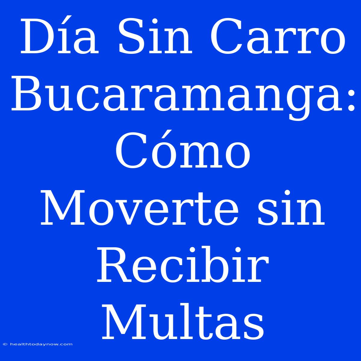 Día Sin Carro Bucaramanga: Cómo Moverte Sin Recibir Multas 