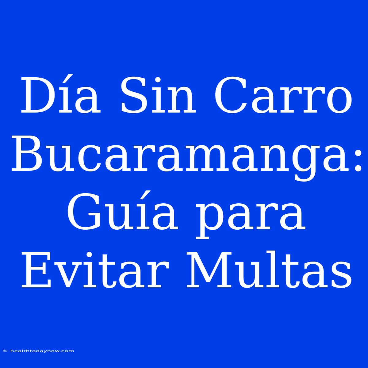 Día Sin Carro Bucaramanga: Guía Para Evitar Multas