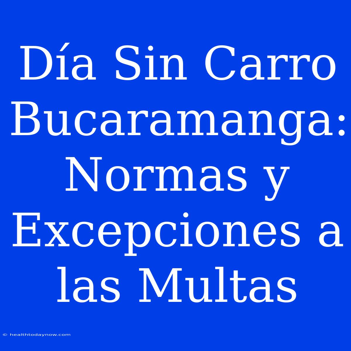 Día Sin Carro Bucaramanga: Normas Y Excepciones A Las Multas