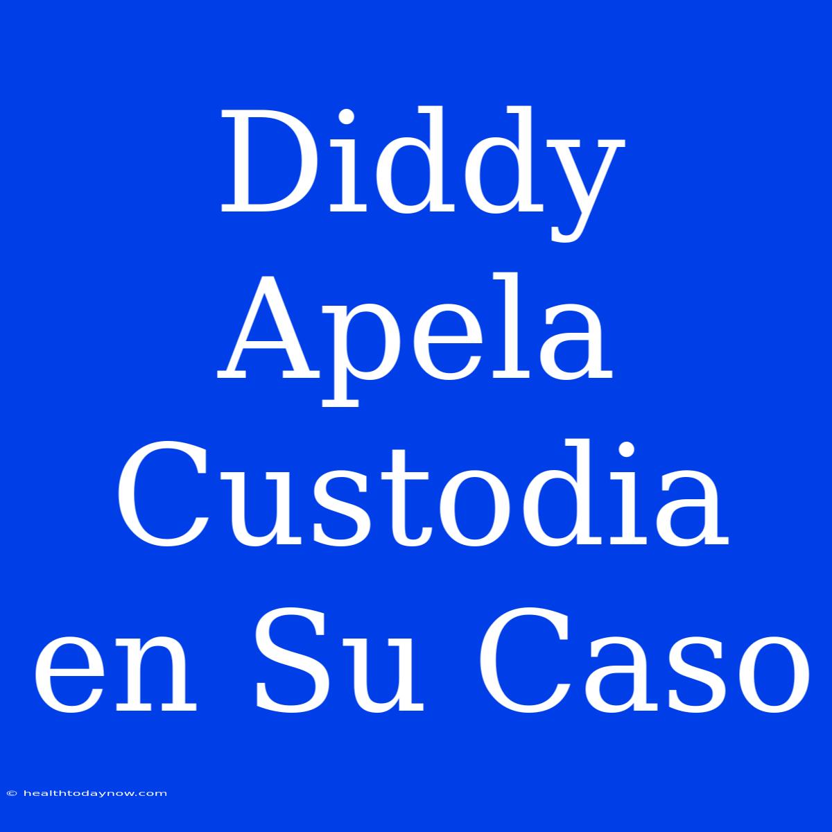 Diddy Apela Custodia En Su Caso