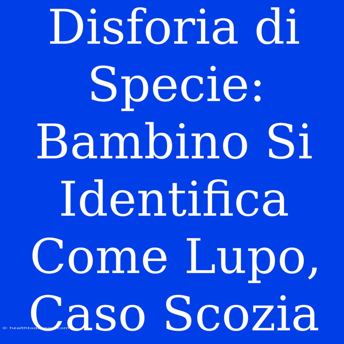 Disforia Di Specie: Bambino Si Identifica Come Lupo, Caso Scozia