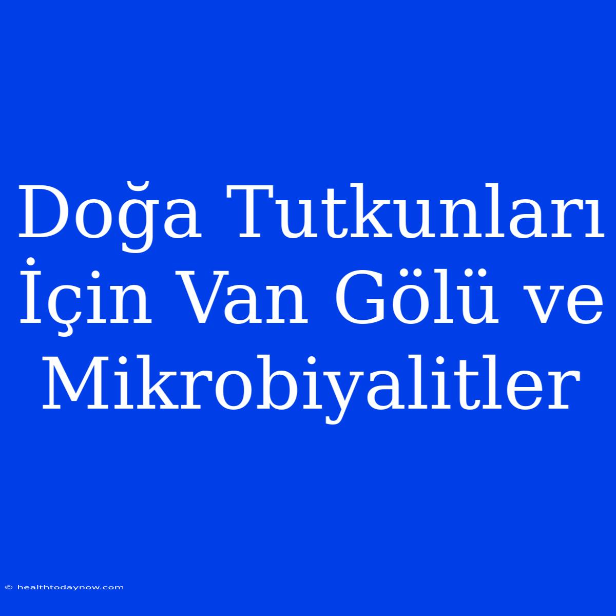 Doğa Tutkunları İçin Van Gölü Ve Mikrobiyalitler