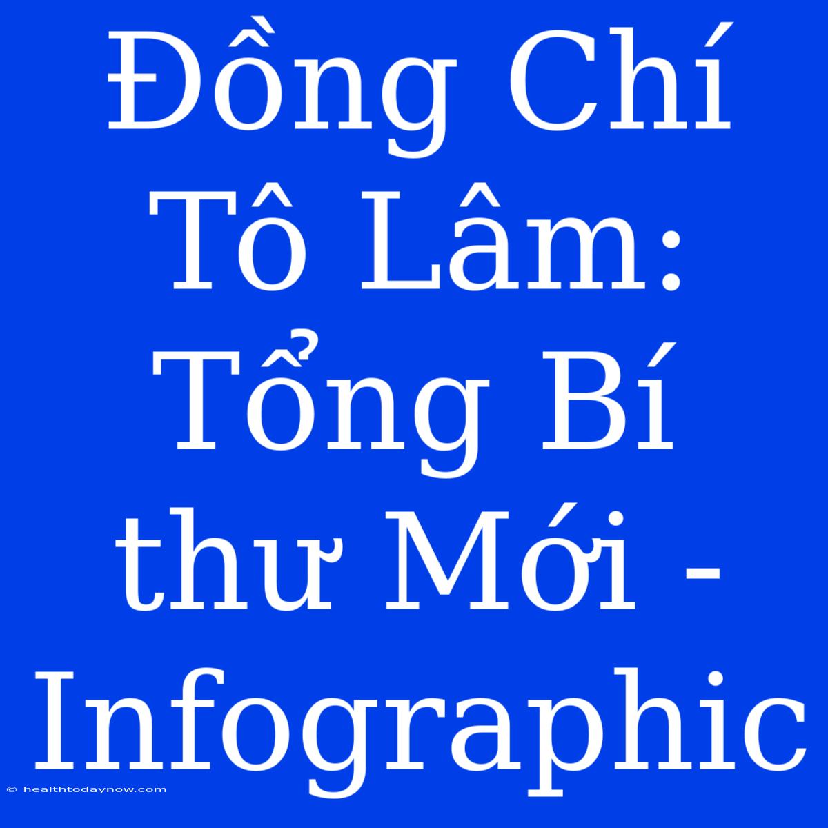 Đồng Chí Tô Lâm: Tổng Bí Thư Mới - Infographic