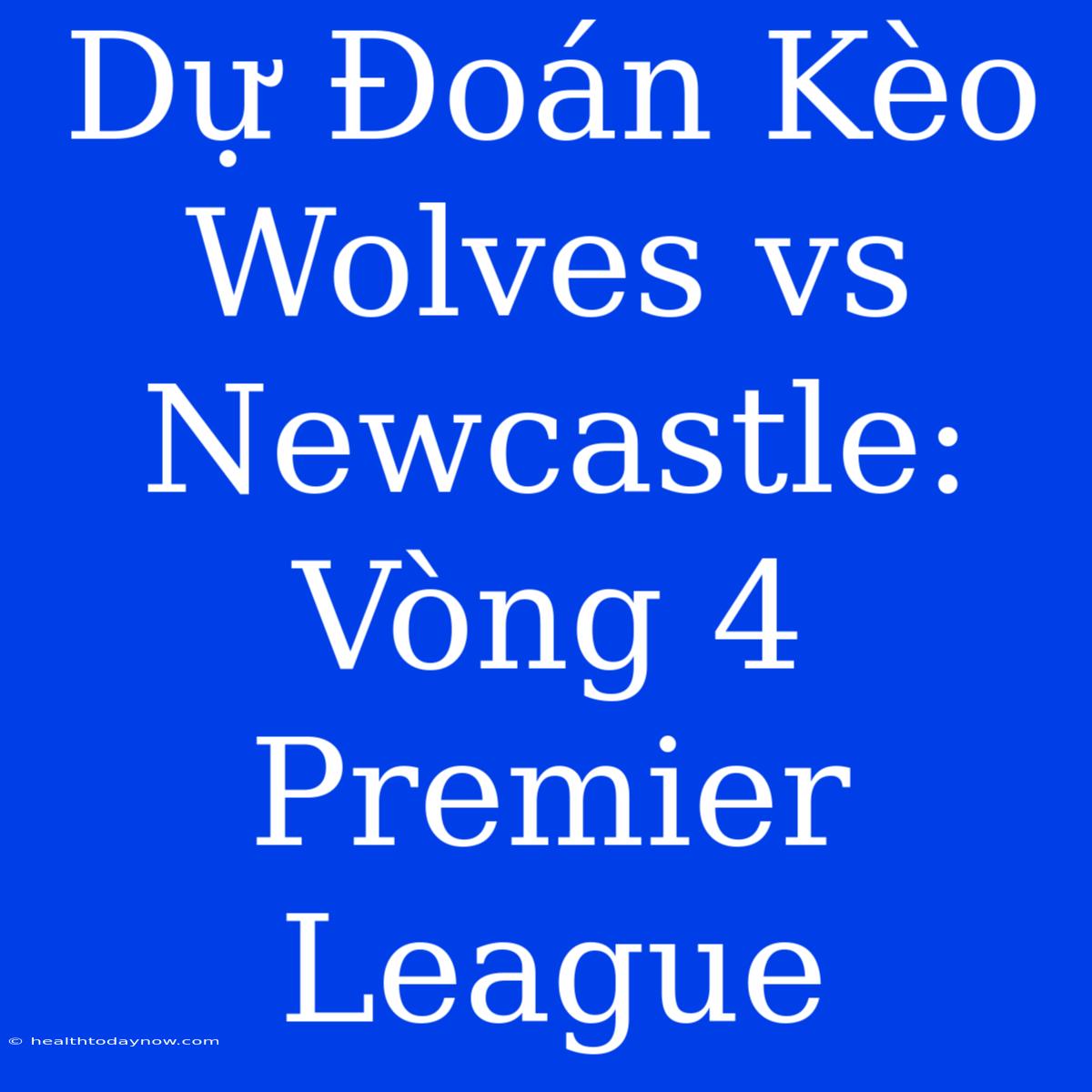 Dự Đoán Kèo Wolves Vs Newcastle: Vòng 4 Premier League