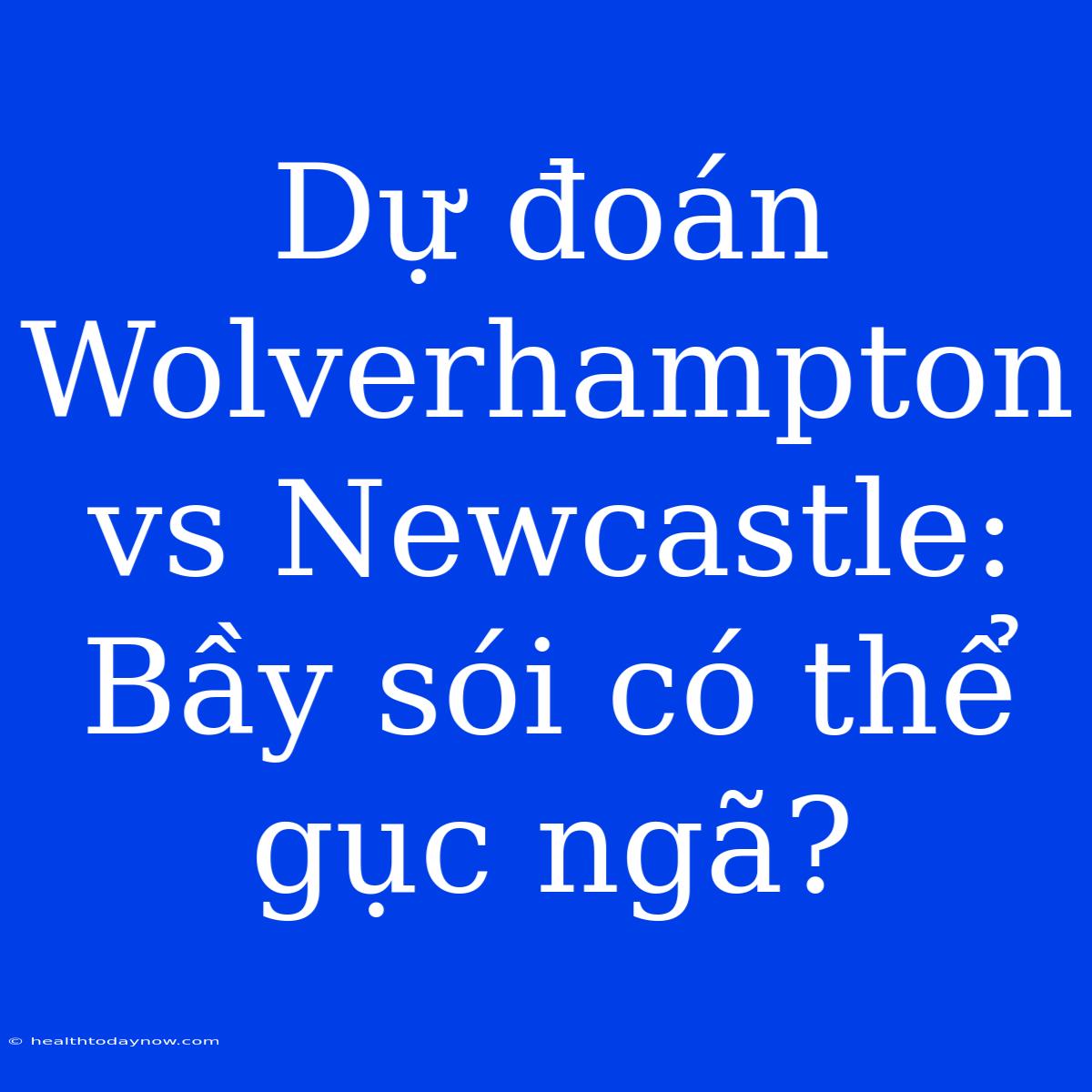 Dự Đoán Wolverhampton Vs Newcastle: Bầy Sói Có Thể Gục Ngã? 