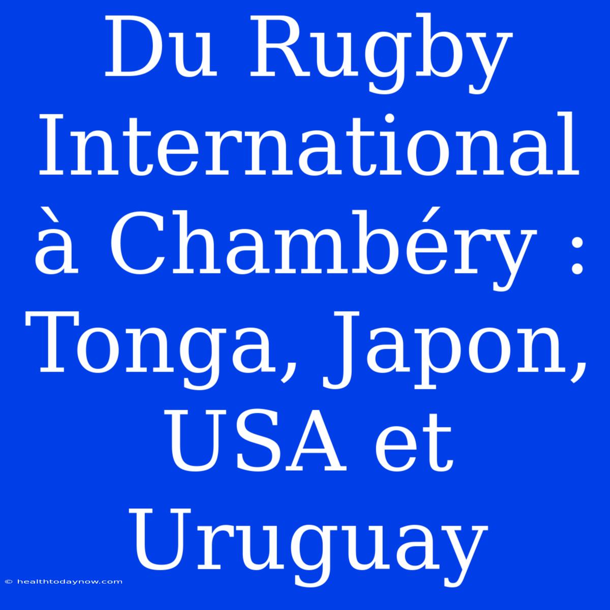 Du Rugby International À Chambéry : Tonga, Japon, USA Et Uruguay