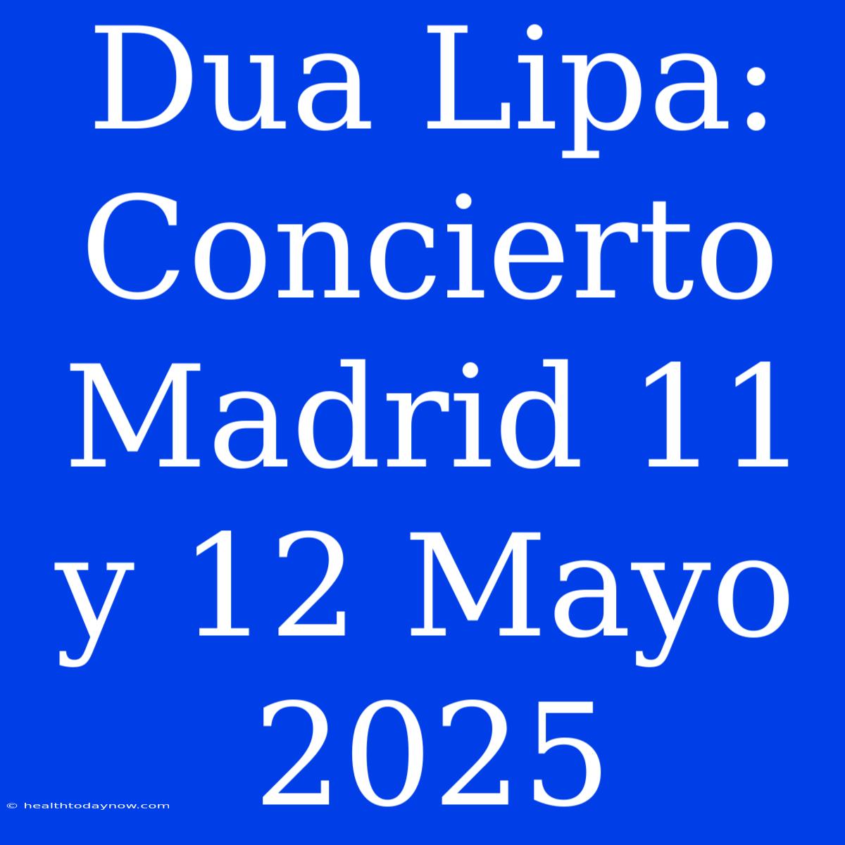 Dua Lipa: Concierto Madrid 11 Y 12 Mayo 2025