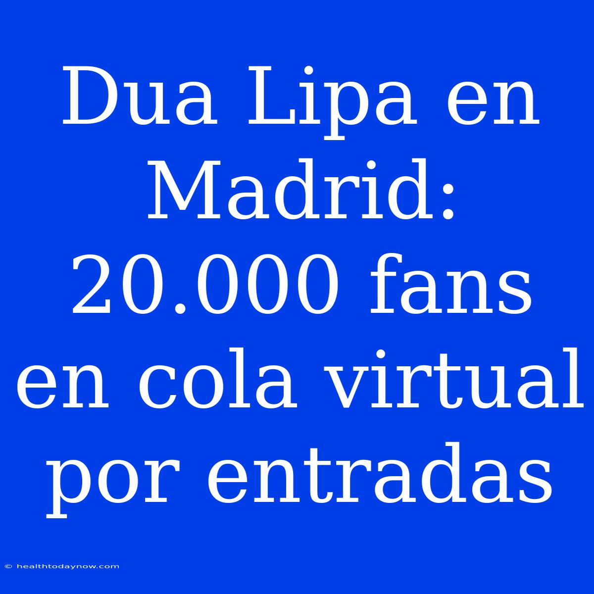 Dua Lipa En Madrid: 20.000 Fans En Cola Virtual Por Entradas