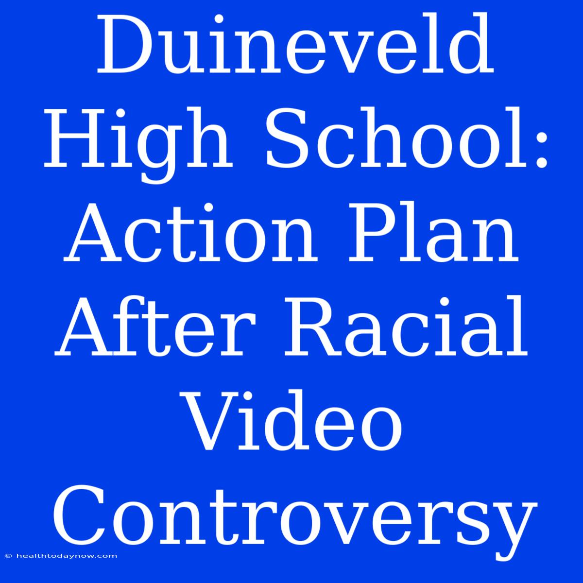 Duineveld High School: Action Plan After Racial Video Controversy 