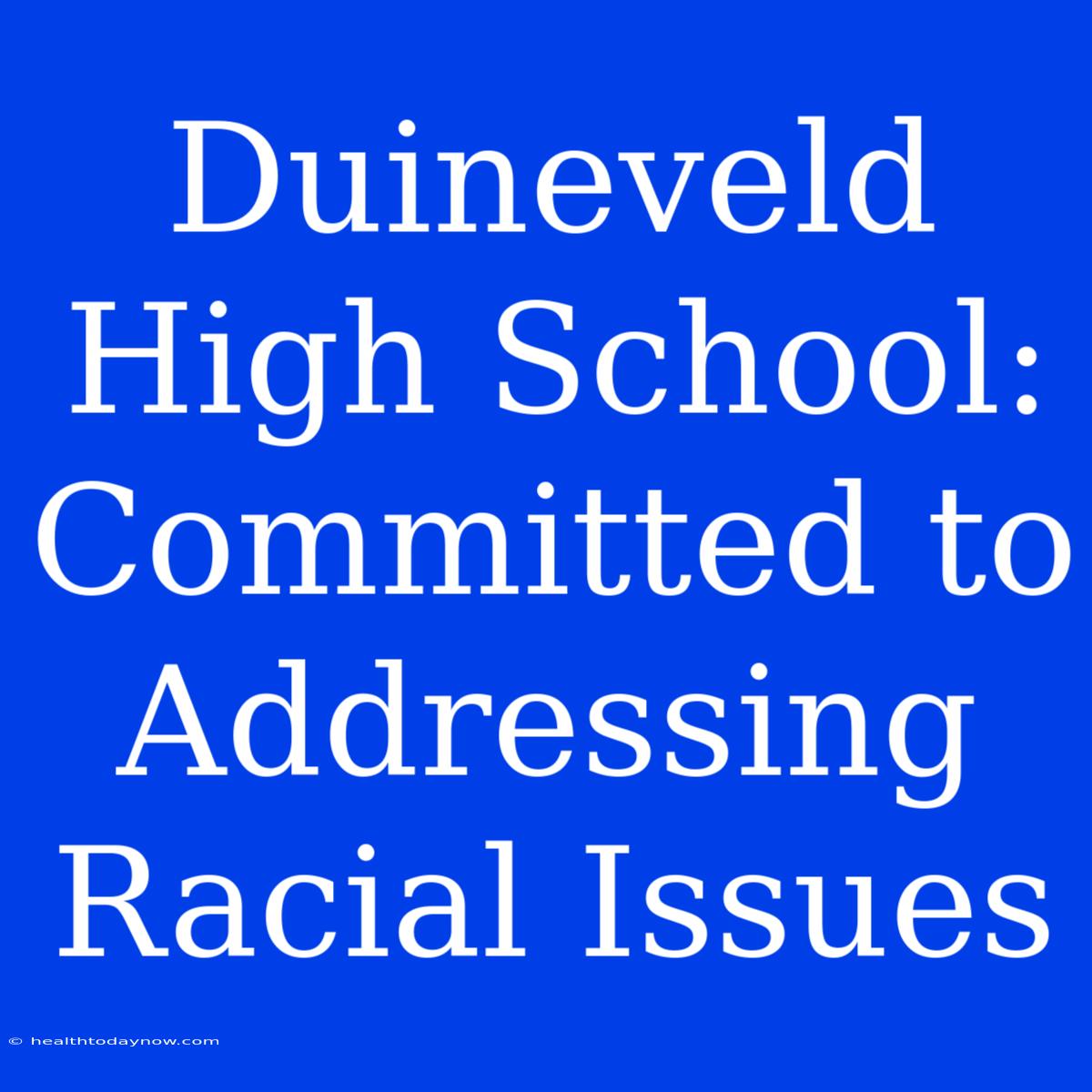 Duineveld High School: Committed To Addressing Racial Issues