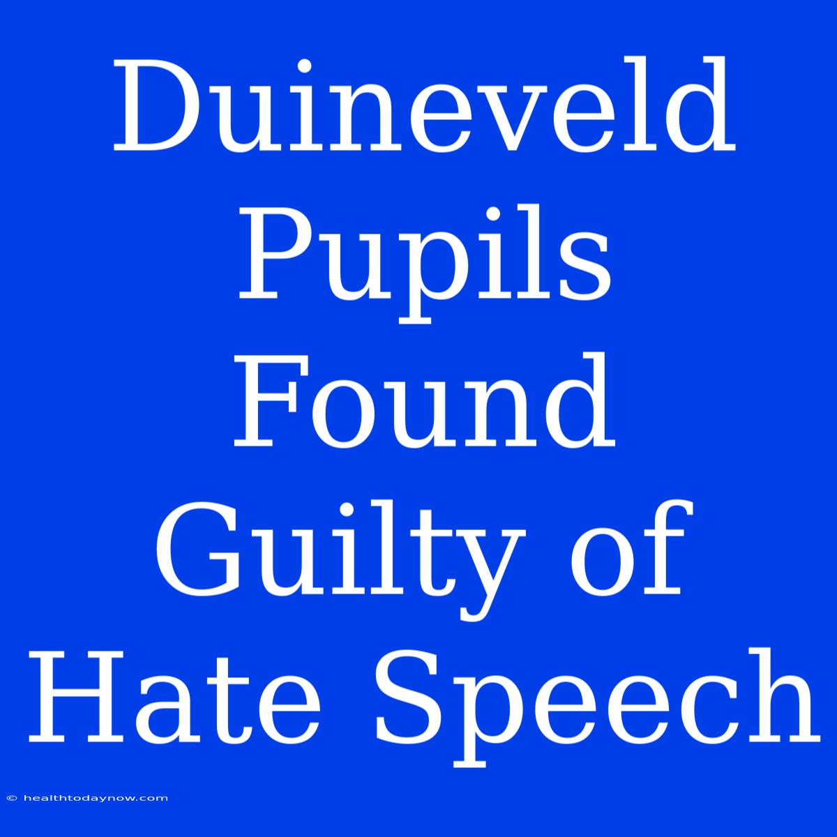 Duineveld Pupils Found Guilty Of Hate Speech