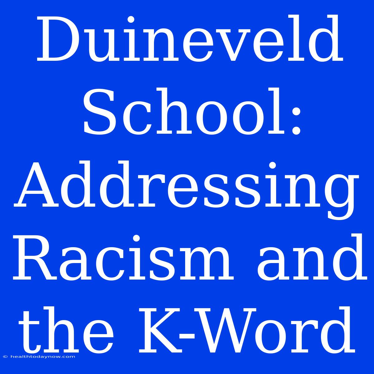 Duineveld School: Addressing Racism And The K-Word