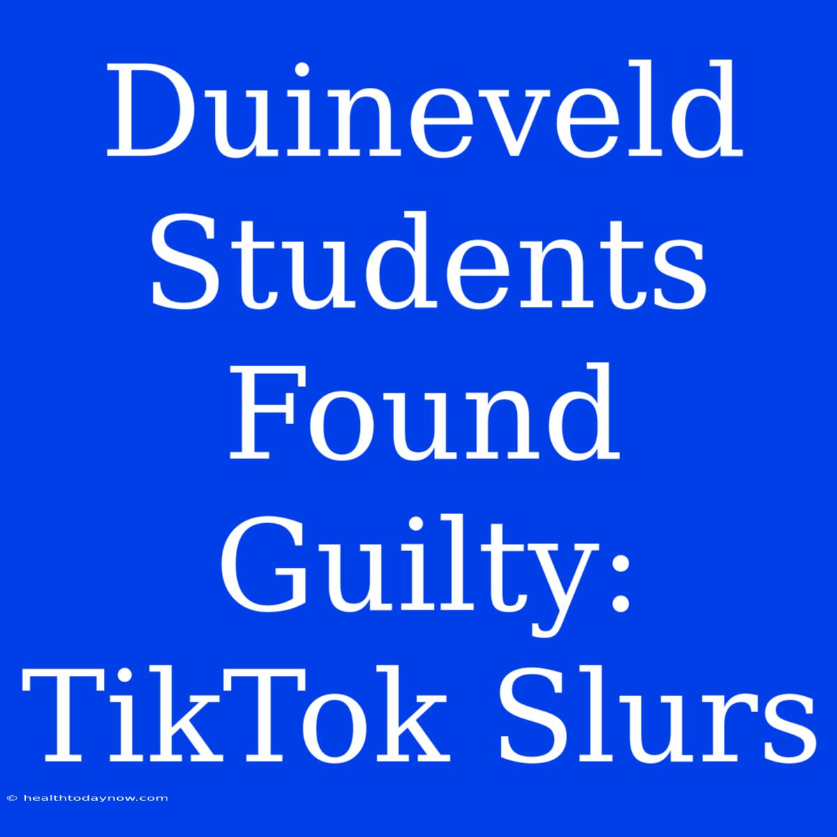 Duineveld Students Found Guilty: TikTok Slurs 