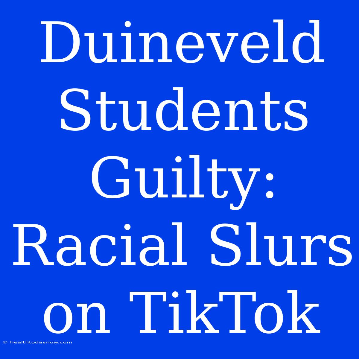 Duineveld Students Guilty: Racial Slurs On TikTok